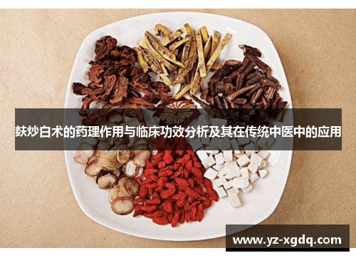 麸炒白术的药理作用与临床功效分析及其在传统中医中的应用