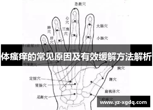 体瘙痒的常见原因及有效缓解方法解析 体瘙痒的常见原因及有效缓解方法解析