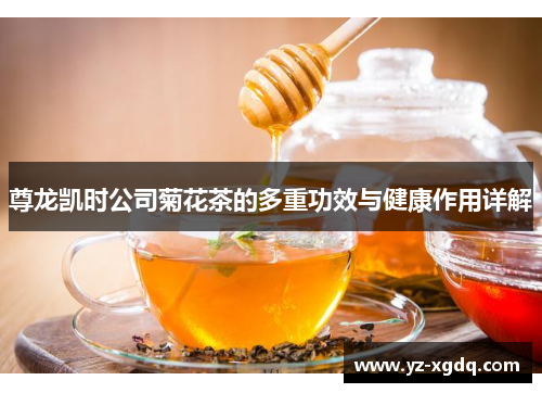 尊龙凯时公司菊花茶的多重功效与健康作用详解