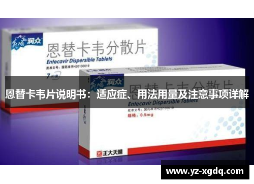 恩替卡韦片说明书:适应症、用法用量及注意事项详解 恩替卡韦片说明书:适应症、用法用量及注意事项详解