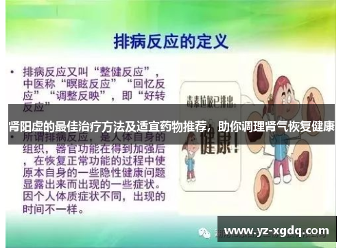 肾阳虚的最佳治疗方法及适宜药物推荐，助你调理肾气恢复健康
