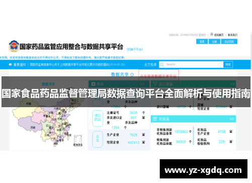 国家食品药品监督管理局数据查询平台全面解析与使用指南 国家食品药品监督管理局数据查询平台全面解析与使用指南