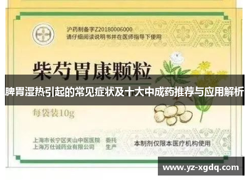 脾胃湿热引起的常见症状及十大中成药推荐与应用解析